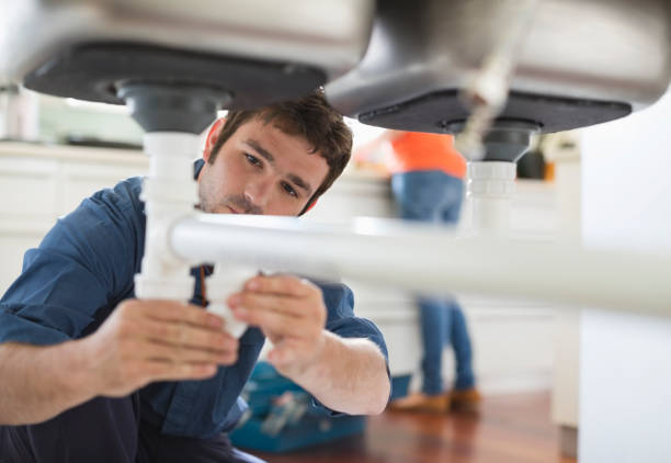 Best Plumbing Inspection Services  in Parrish, AL