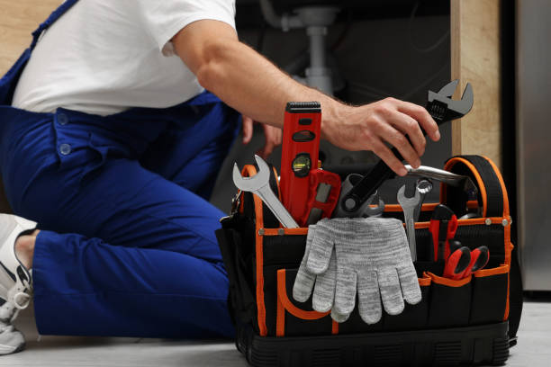 Best Clogged Drain Plumber  in Parrish, AL